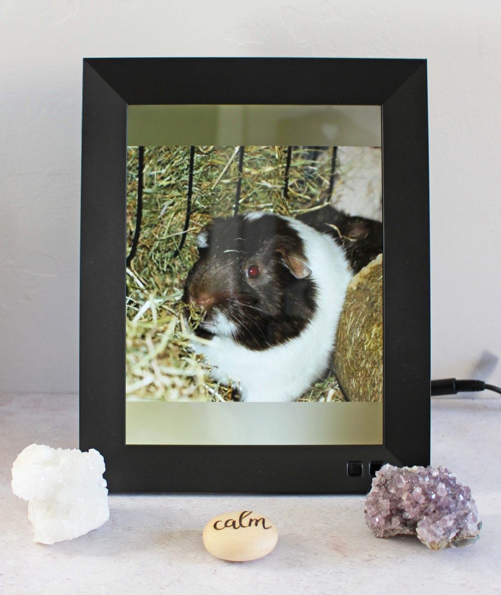 Nixplay Smart Photo Frame 9.7 W10E