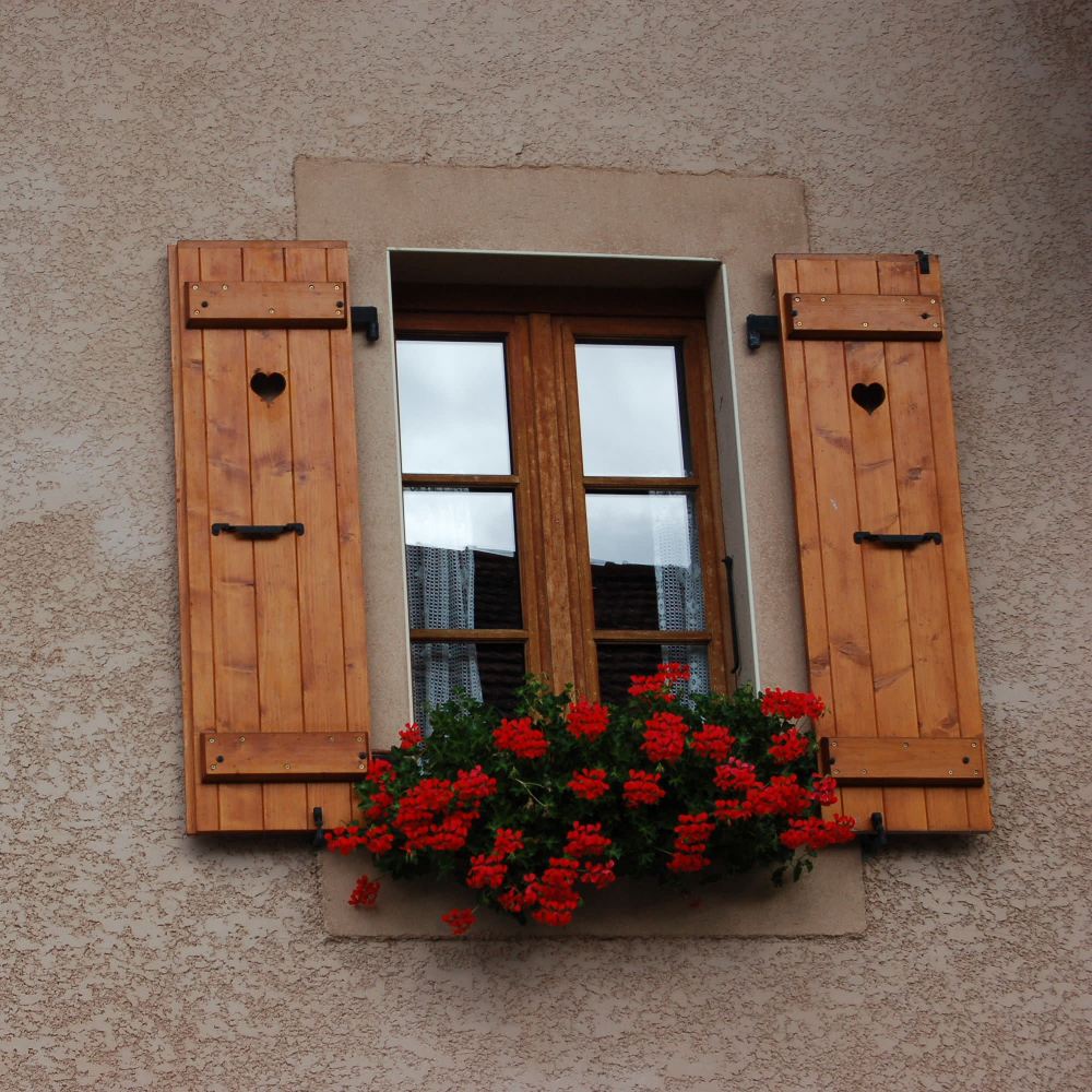 window with shutters and window box