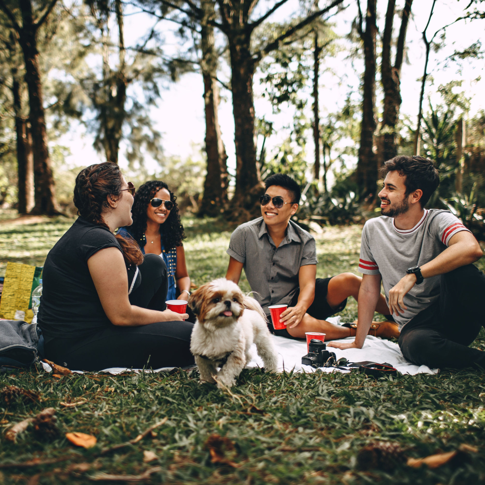 people sitting at a picnic