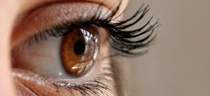 brown eye