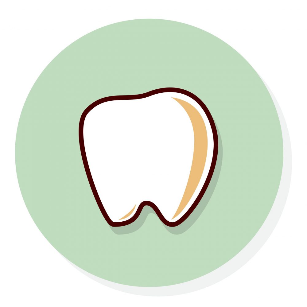 vector of a tooth