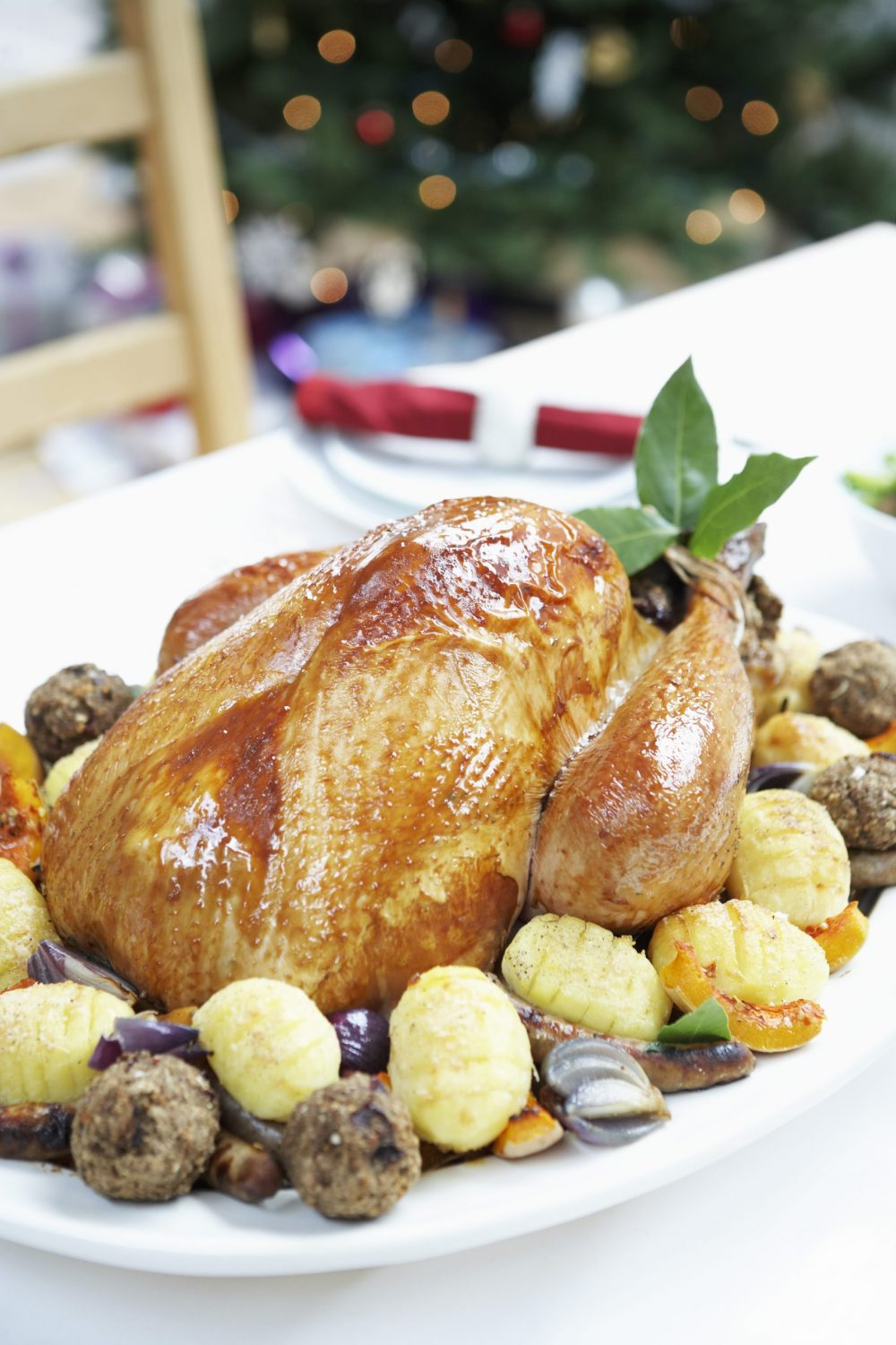 Christmas Turkey