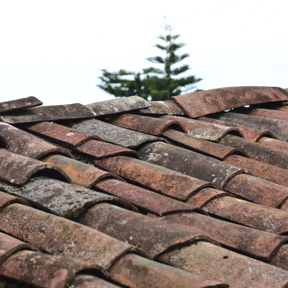 Roof of a house