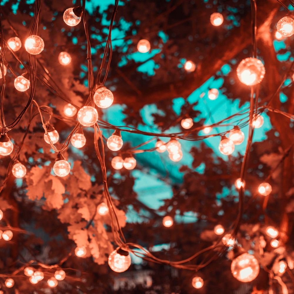 fairy lights