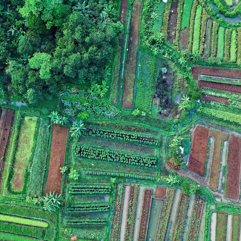 farm land