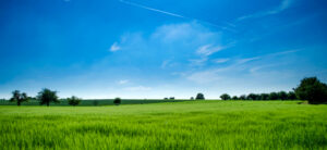 Start a New Life by Buying Land for Sale
