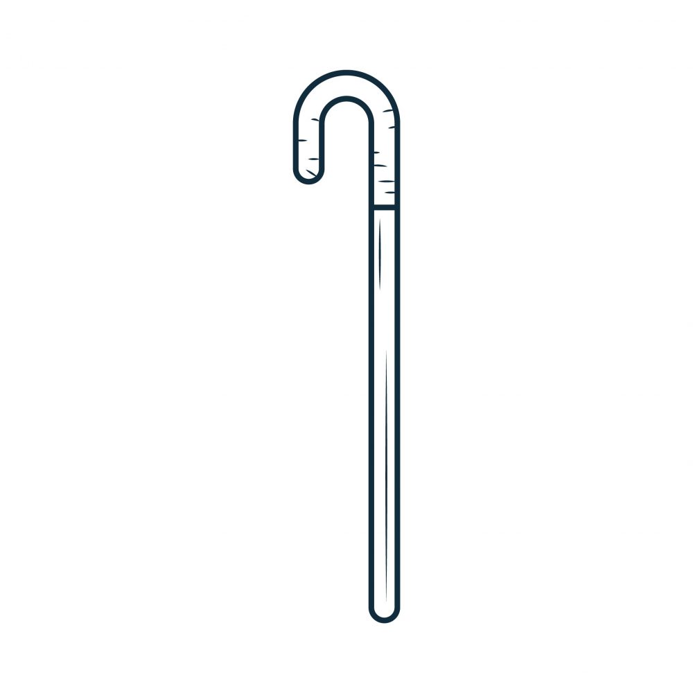 walking stick