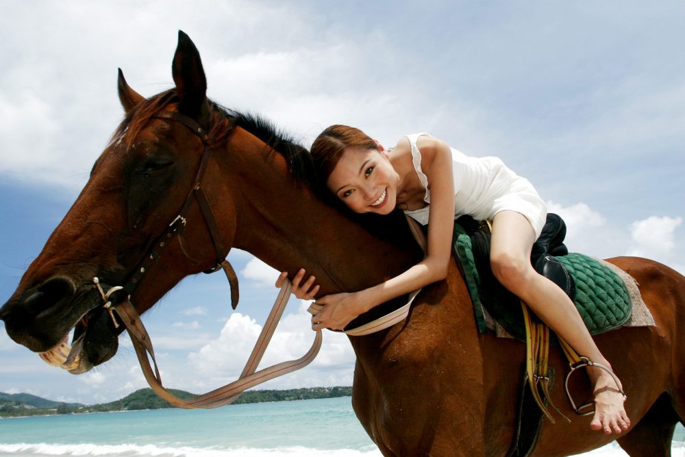 person on a horse