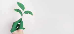 Hand half green holding leaves