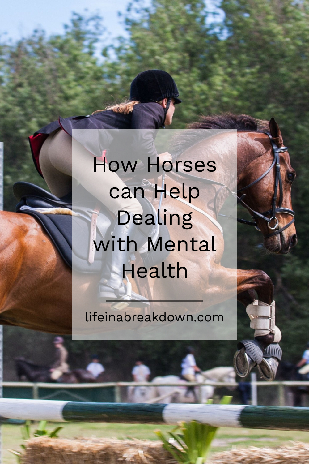 How Horses can Help Dealing with Mental Health