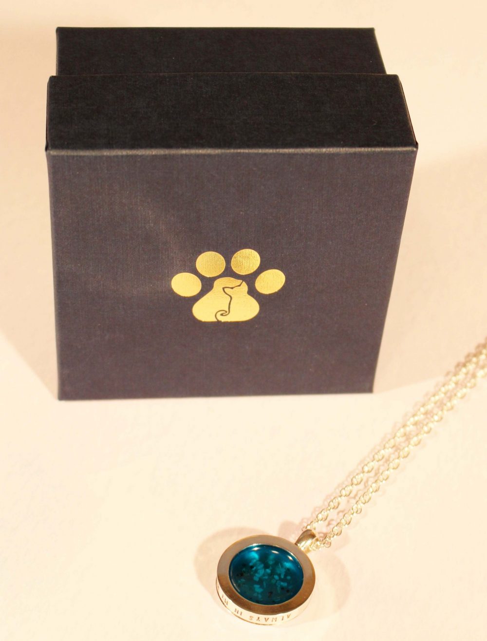 Starry Night Pendant from My Pet's Ashes - Show with the gift box it comes inside.