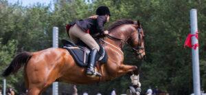 person jumping on a horse