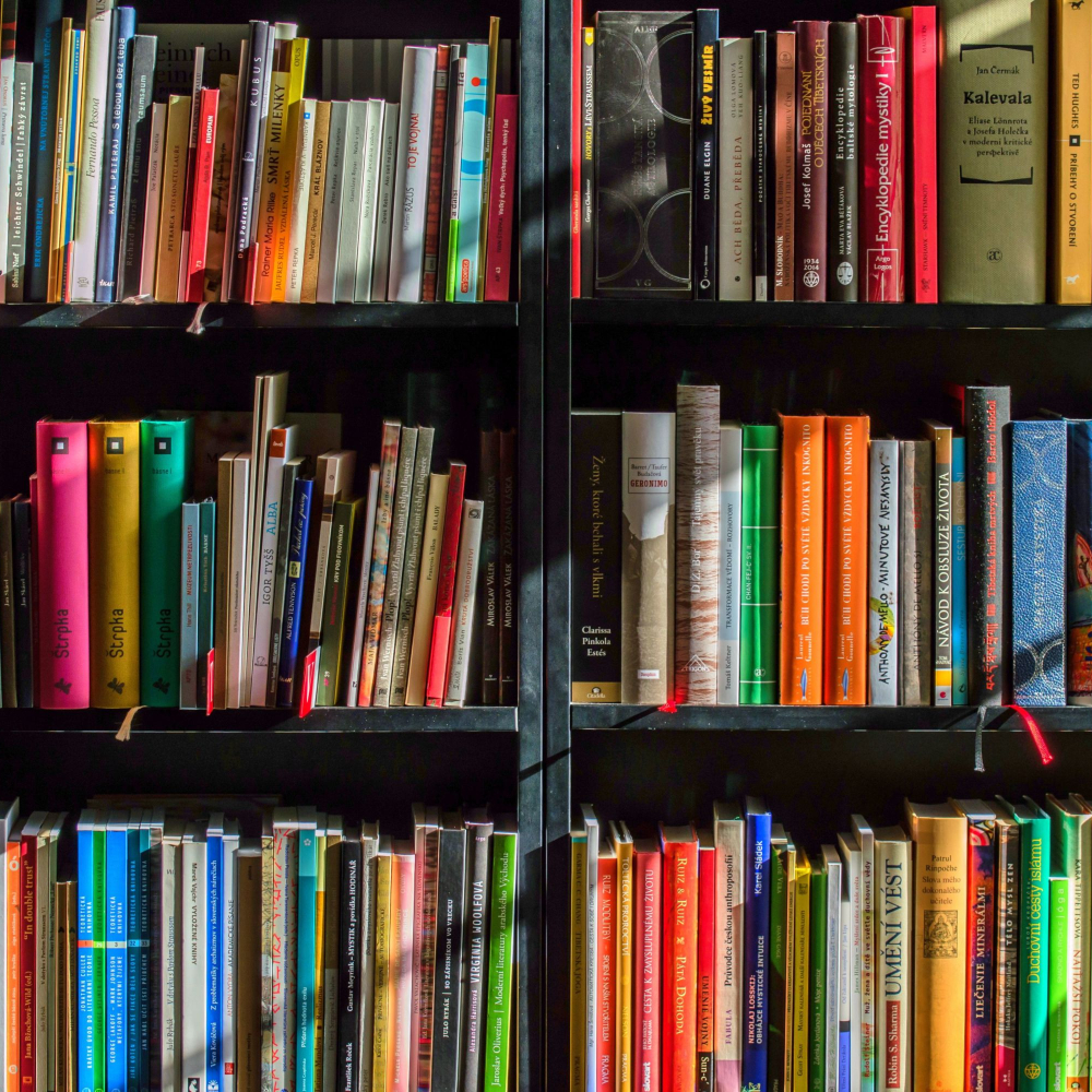 Books on a bookshelf