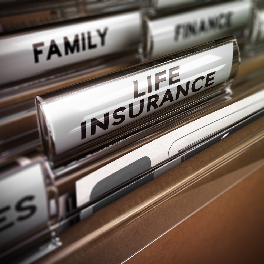 Close up on a file tab with the word life insurance, focus on the main text and blur effect. Concept image for illustration of family protection policy