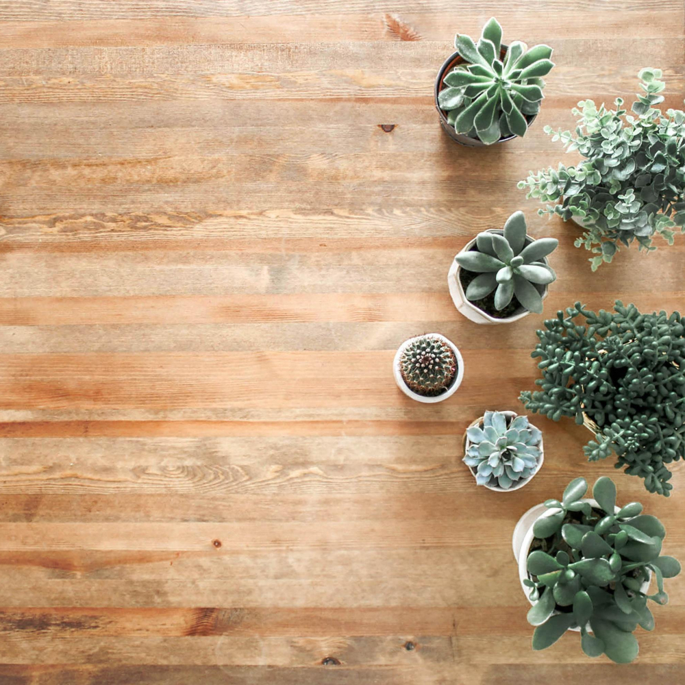 Vinyl Flooring with Pots of Flowers