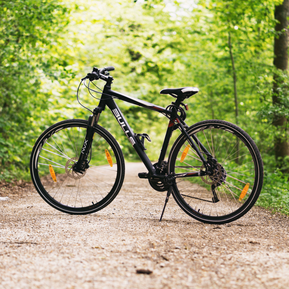 bike parked with trees around