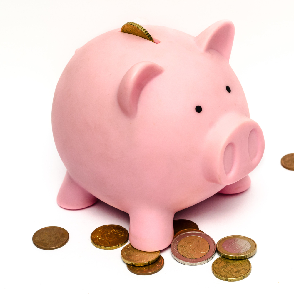 piggy bank and coins (1)