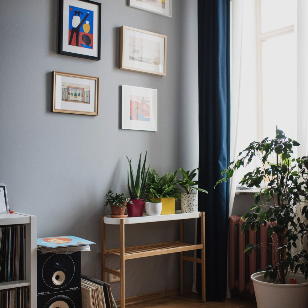 pictures on walls