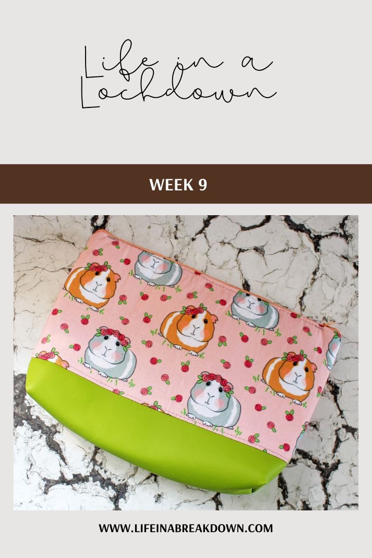 Life in a Lockdown 9 #linky #linkie #linkup #blog