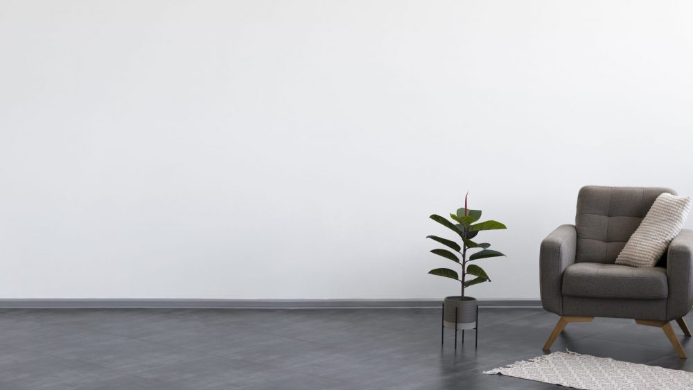 plant next to a chair