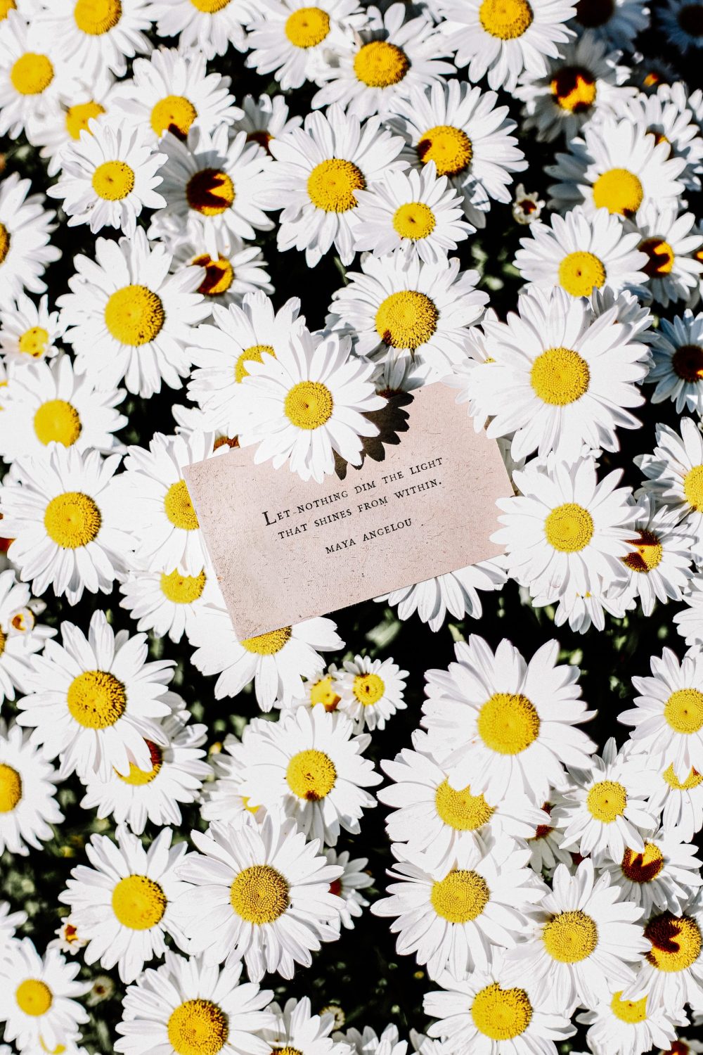 Let Nothing Dim The Light That Shines Within