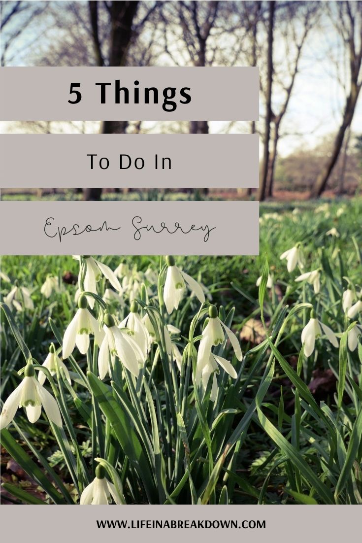 Are you looking for something to do in the Epsom Surrey area? Then check out these unique 5 things to do in Epsom Surrey. #travel #daysout #daysoutintheuk #epsom #surrey #uktravel #ukdaysout