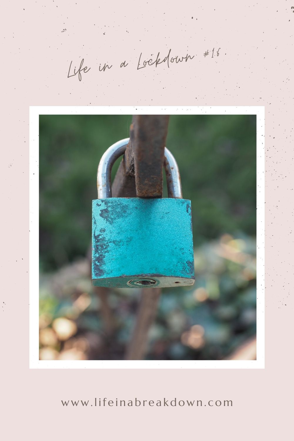 Come see what week 16 of #lifeinalockdown held? Read about how been feeling and dealing with the world around me. Do link up with us. #linky #linkup #lockdown