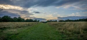 A grassy path stretches through a meadow with tall grass on either side, leading to a distant line of trees. The sky above is filled with dramatic clouds, partially illuminated by the setting sun, creating a serene, picturesque scene.