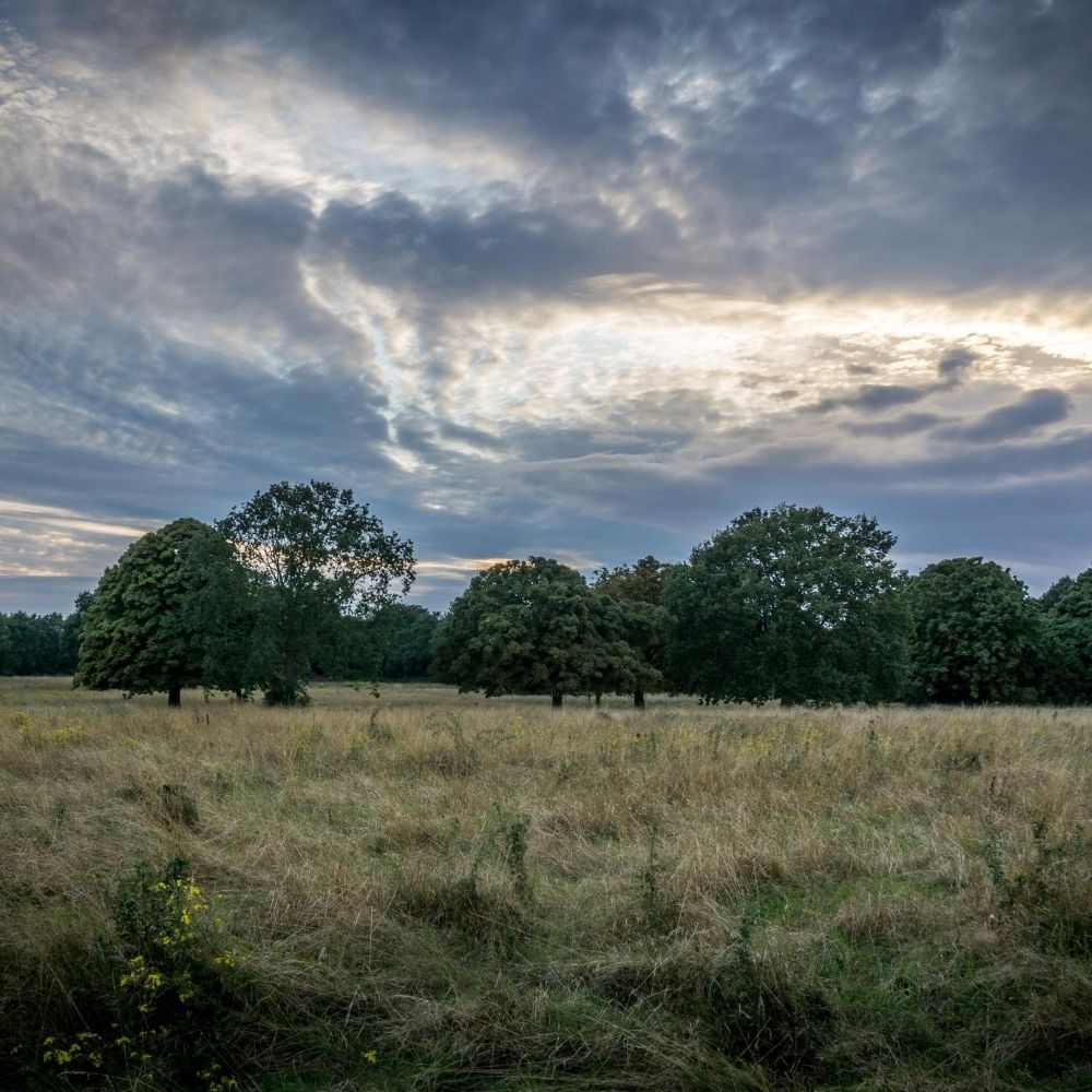 Nonsuch Park