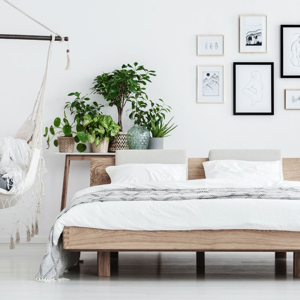 light and bright bedroom with plants and photo wall