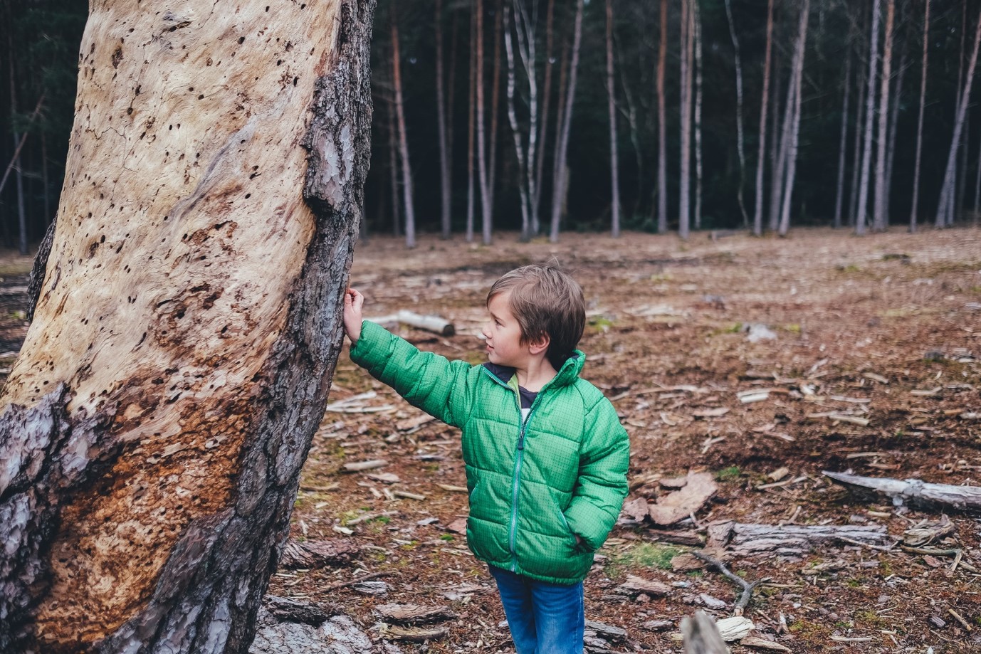 child in green jacket stood by a tree