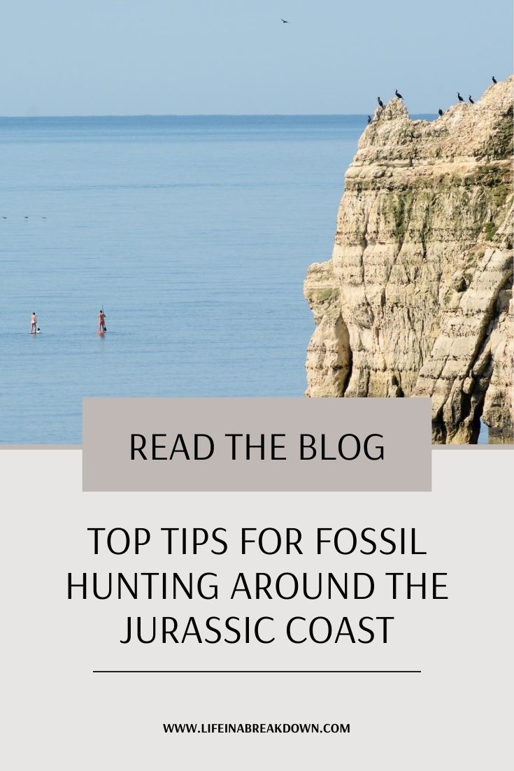 Are you heading to the Jurassic Coast of Devon? Do you love hunting for the past? Then check out these top tips for fossil hunting around the Jurassic Coast. #travel #holiday #ukbreaks #vacation #fossils #jurassiccoast #devon