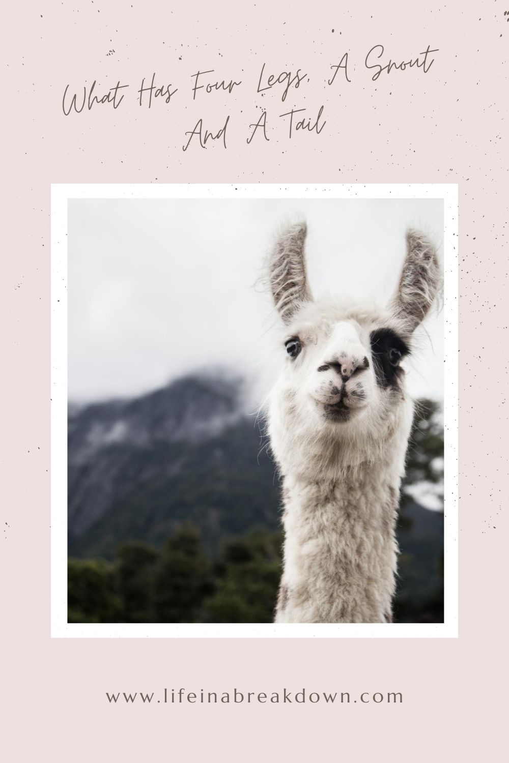 Do you have a large space, with a couple of acres ready for an animal? Then check out these ideas on animals which are fun to have. #animals #farmanimals