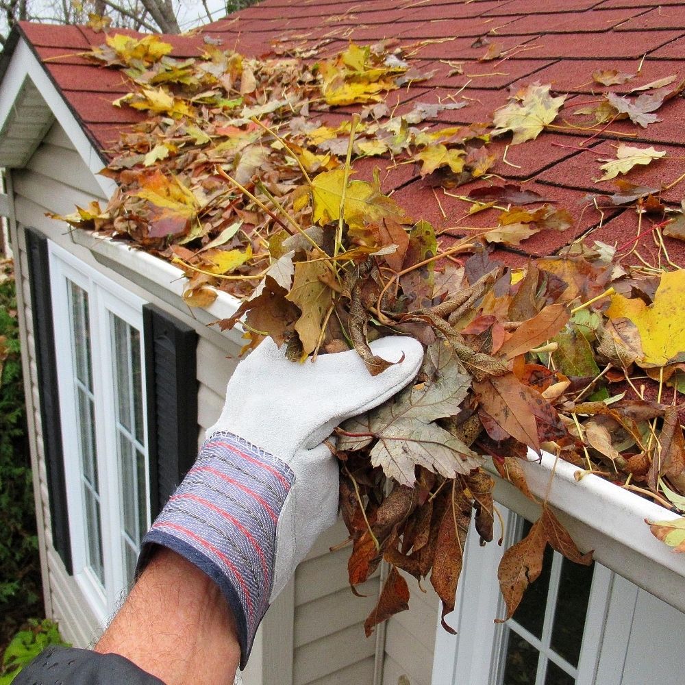 person emptying the guttering