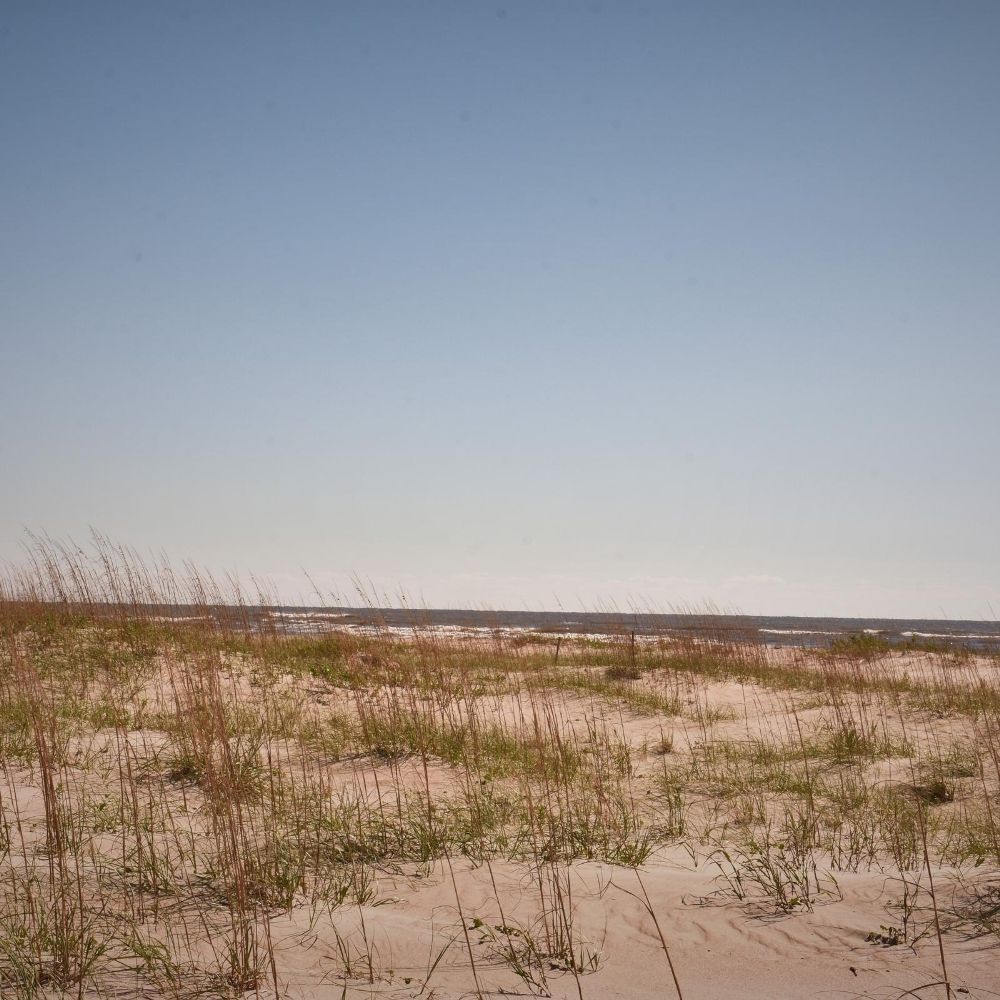 sandy shore NC