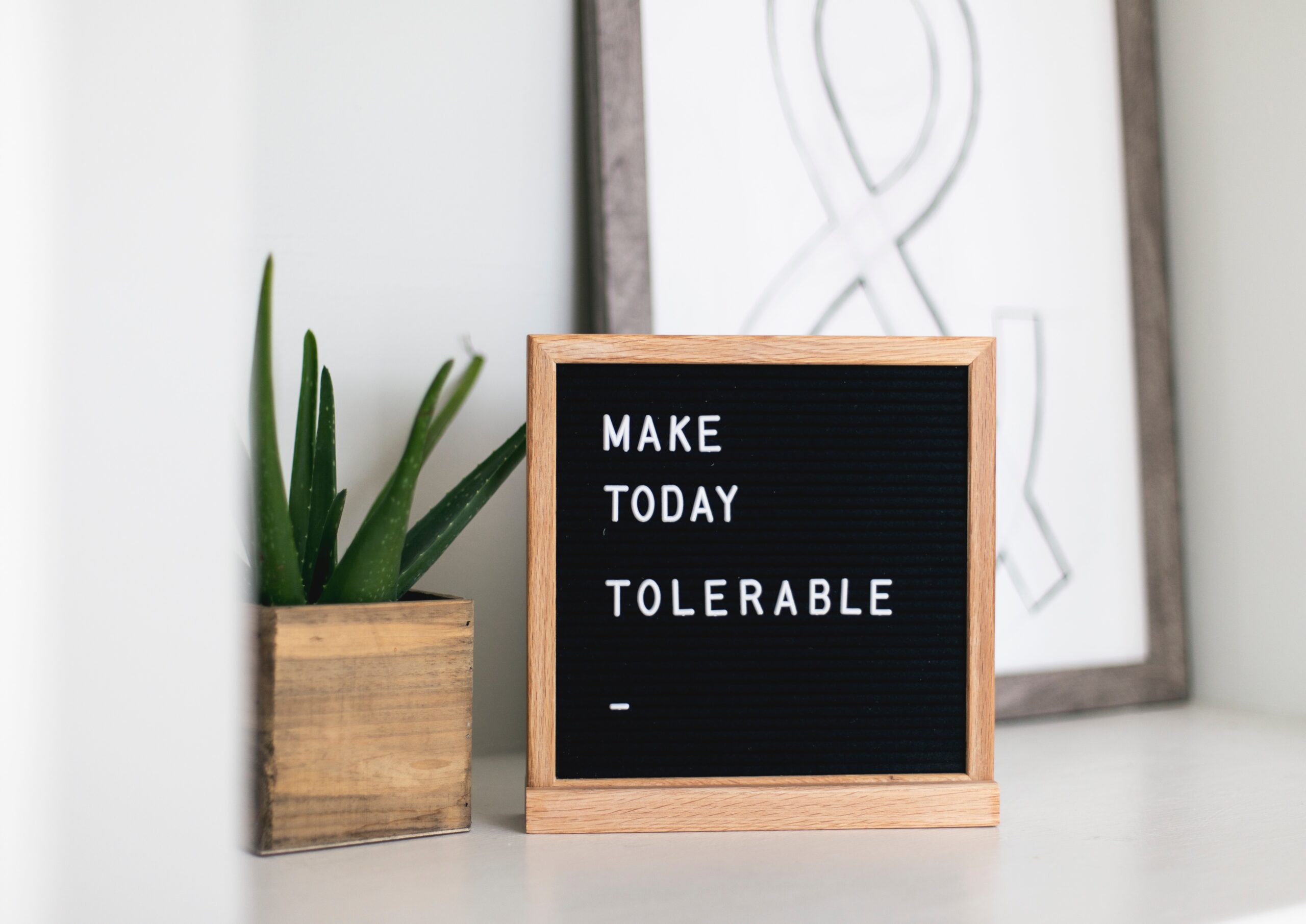 Make Today Tolerable