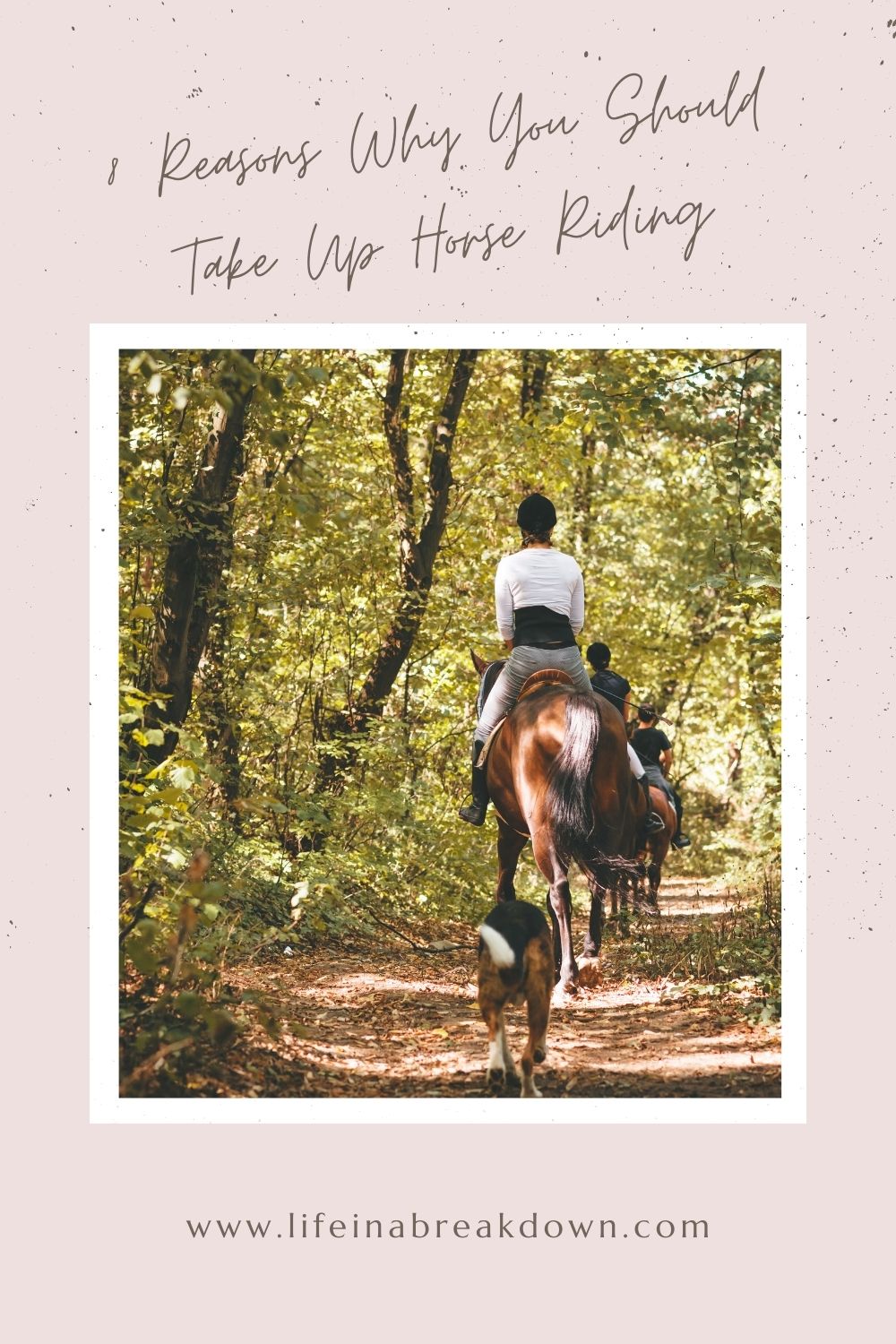 Are you thinking about taking up horse riding? Well here are 8 reasons why it right might be the perfect idea for your new hobby. #horseriding #horses #riding