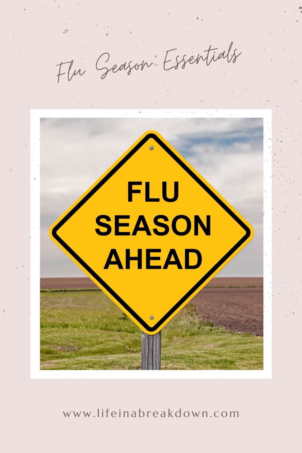 It's that time of year when flu season is coming at us. Make sure you are ready with these great flu season essentials. #flu #flusession