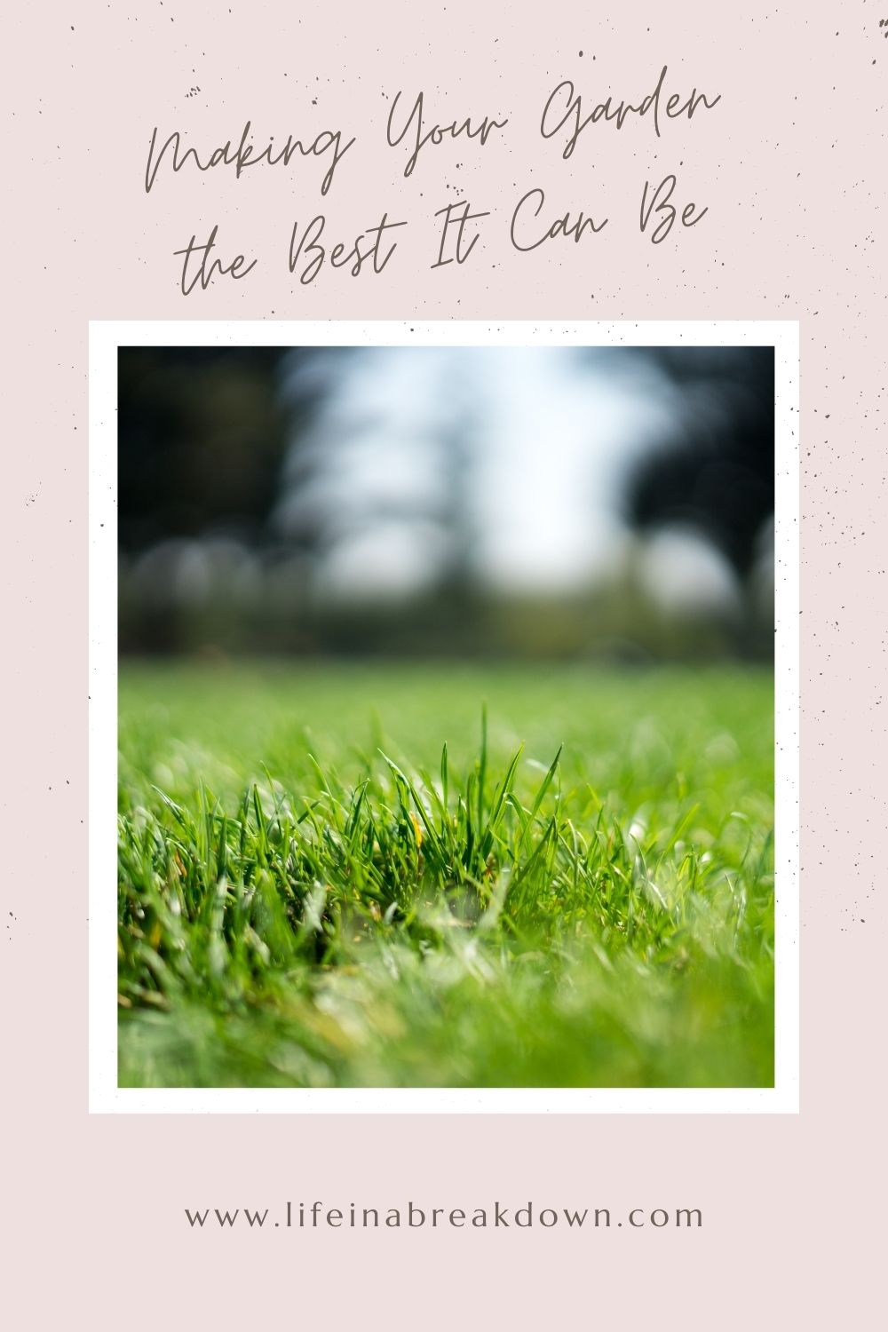 Are you looking to make the most of your garden? Then check out these tips to make your garden the best it can be. #garden #gardenideas #yard #backgarden 