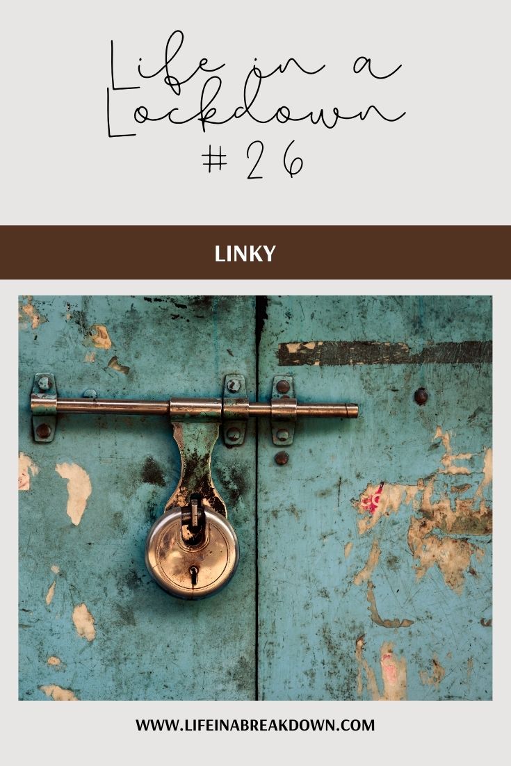 Another week in this new world we are getting used to - what has changed this week, how am I coping and just what is life in a lockdown like? #linky #linkup