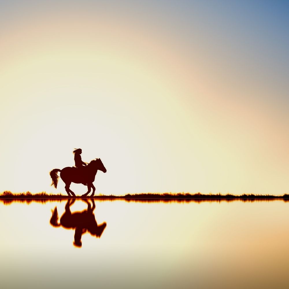 person on a horse at sunset