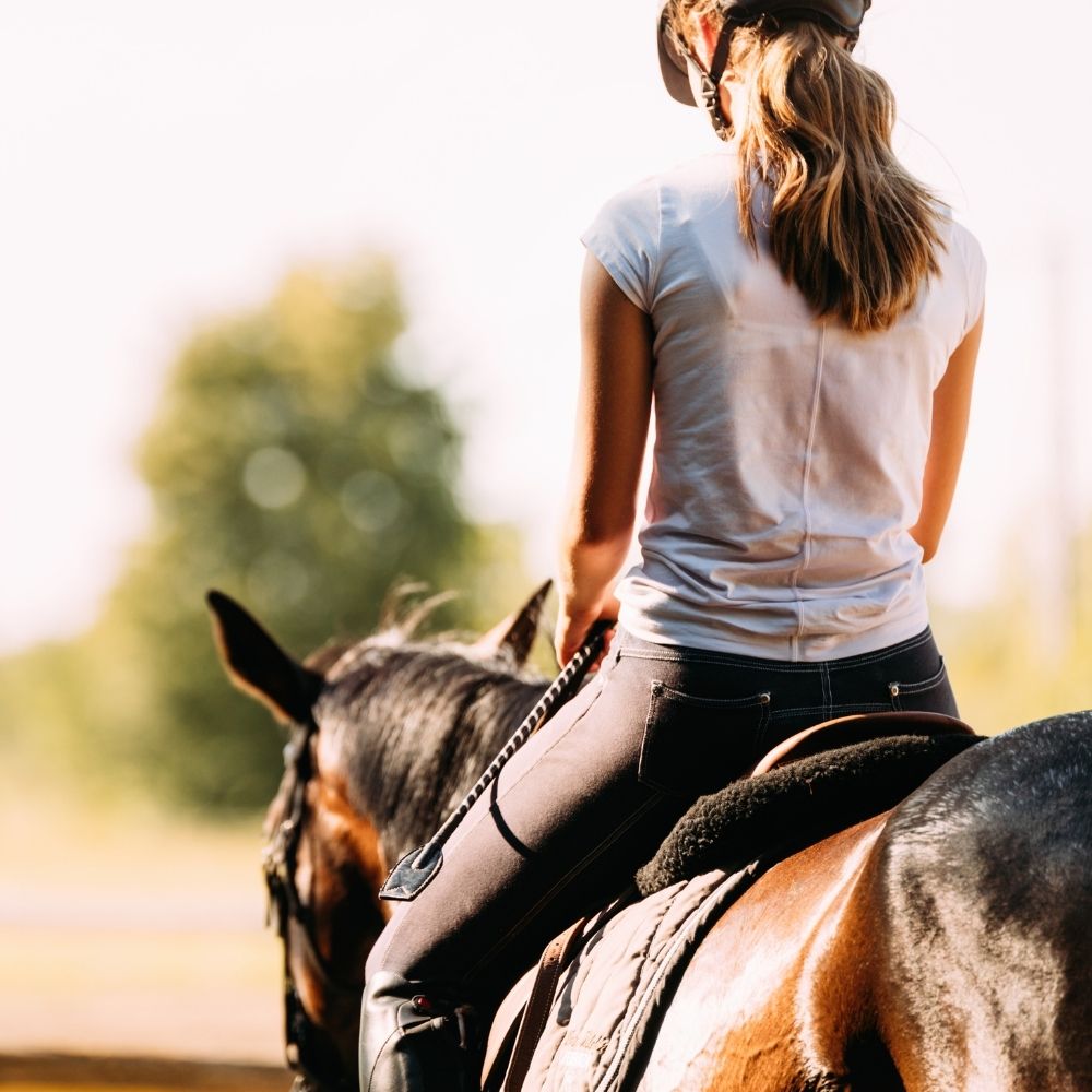 person riding a horse