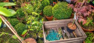 garden items