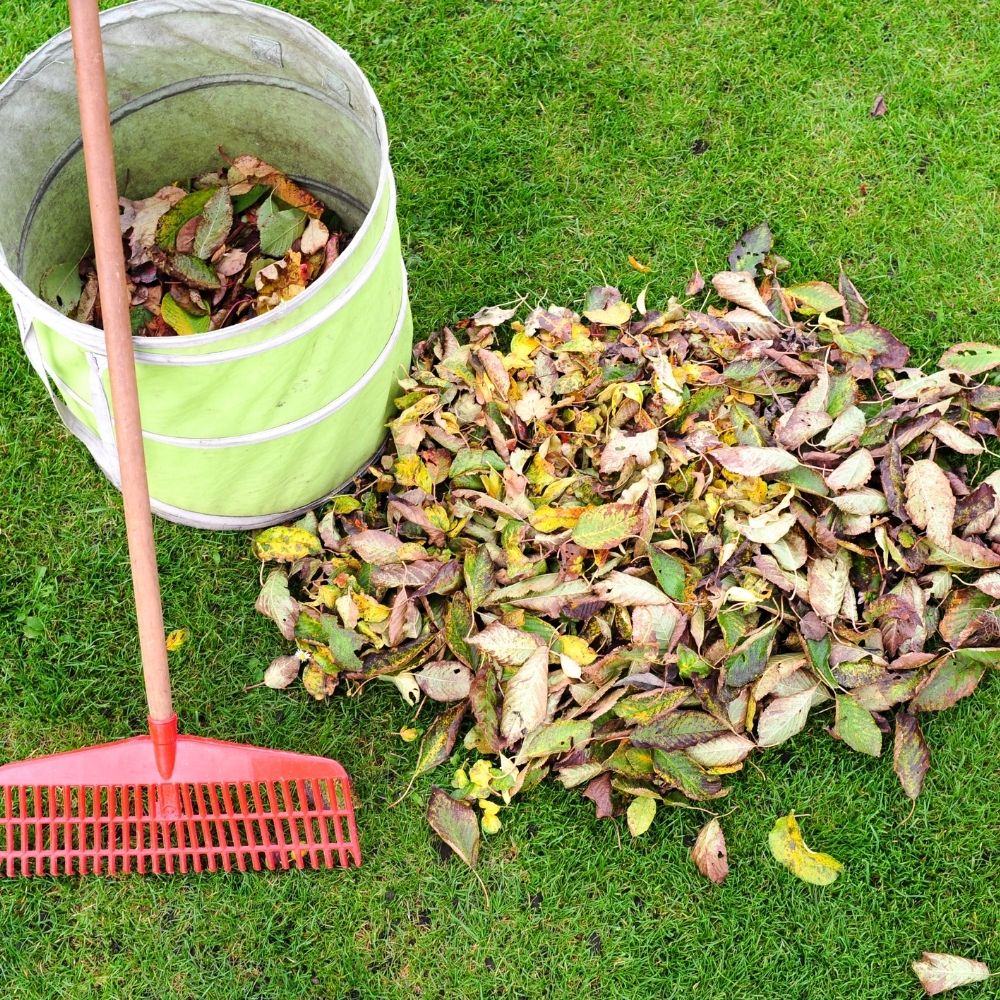 swept up leaves in a garden