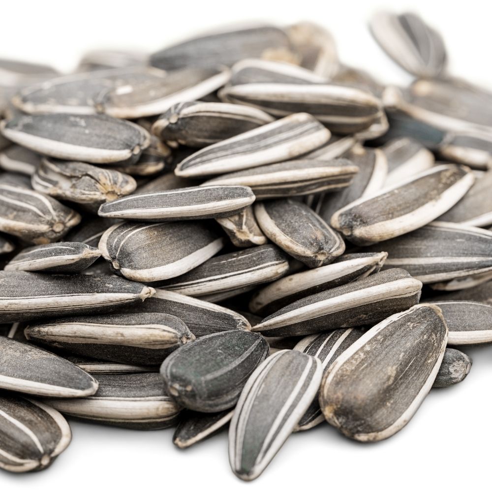 watermelon seeds