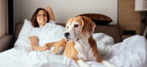 women and dog on a bed