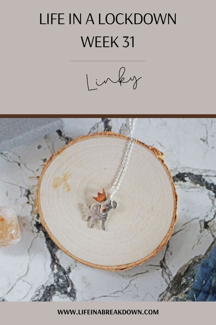 It is week 31 one, the news has been big, but what was said, what is happening, check it out now in Life in a Lockdown Linky. #linky #linkup #bloggerlinkup