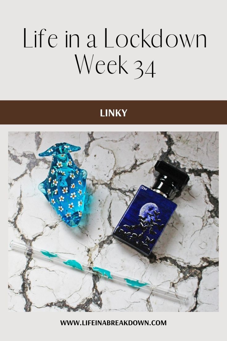So another week has passed, here we are still in lockdown 2, how is the world around us and how am I coping? This post looks into it. #linky #linkup #bloggerlinkup #lockdown