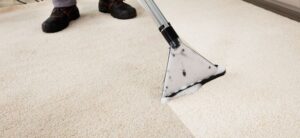 person cleaning a carpet