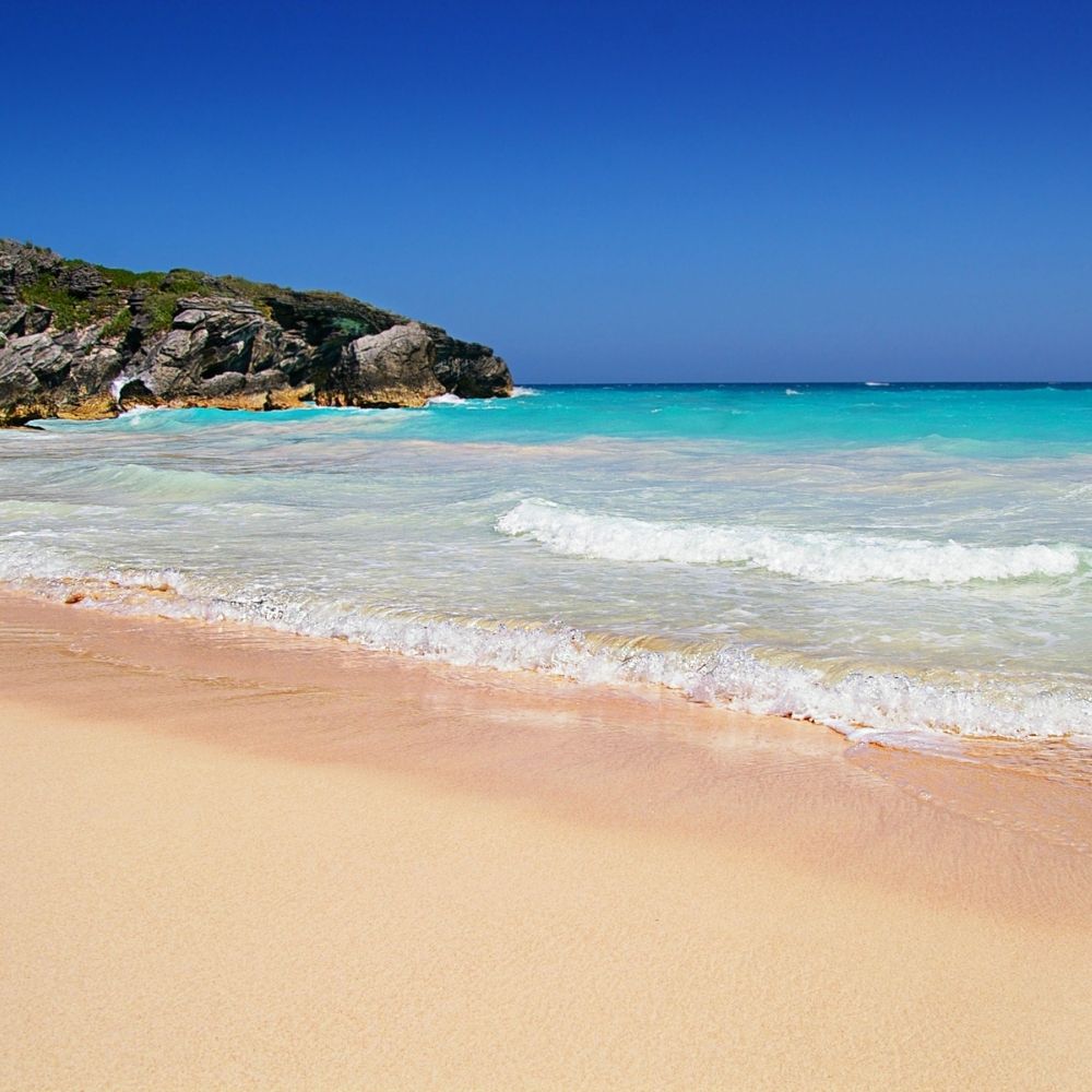 pink sand beach Bermuda